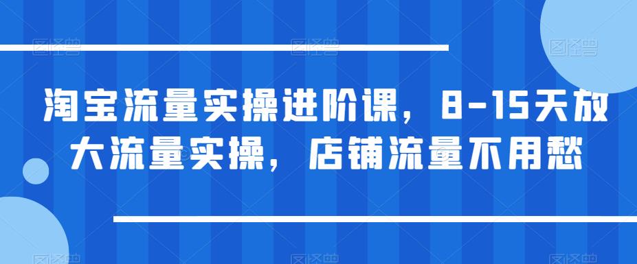 淘宝流量实操进阶课，8-15天放大流量实操，店铺流量不用愁-云帆项目库