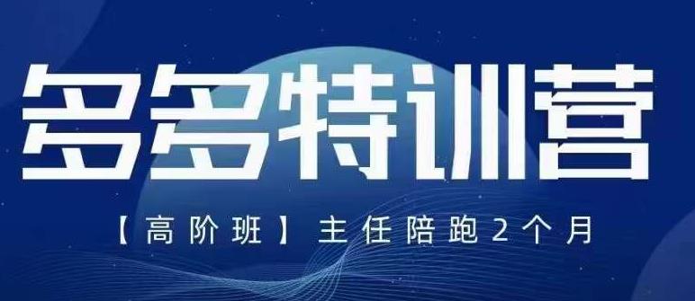 纪主任·5月最新多多特训营高阶班，玩法落地实操，多多全掌握-云帆项目库