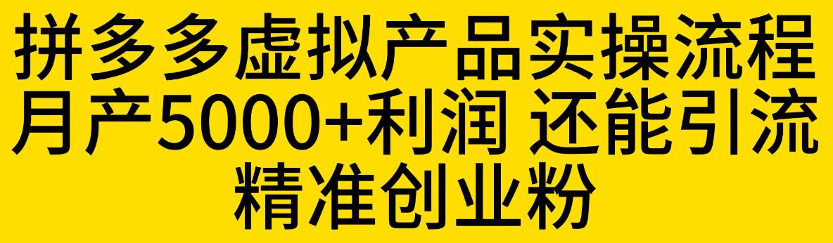 拼多多虚拟产品实操流程，月产5000+利润，还能引流精准创业粉【揭秘】-云帆项目库