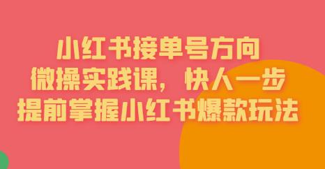 接单号方向·小红书微操实践课，快人一步，提前掌握小红书爆款玩法-云帆项目库