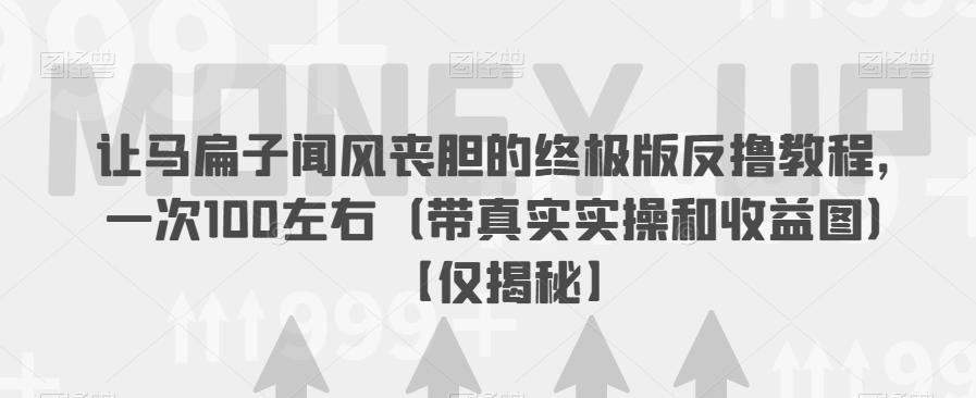 让马扁子闻风丧胆的终极版反撸教程，一次100左右（带真实实操和收益图）【仅揭秘】-云帆项目库