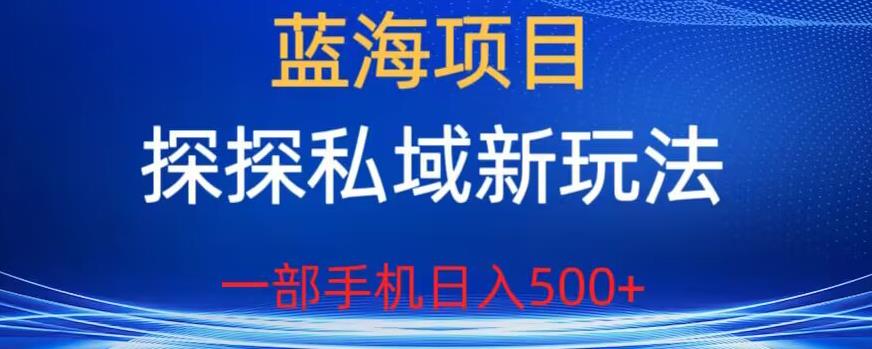 蓝海项目，探探私域新玩法，一部手机日入500+很轻松【揭秘】-云帆项目库