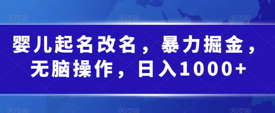 婴儿起名改名，暴力掘金，无脑操作，日入1000+【揭秘】-云帆项目库