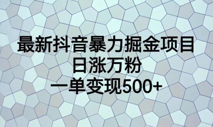 最新抖音暴力掘金项目，日涨万粉，一单变现500+【揭秘】-云帆项目库