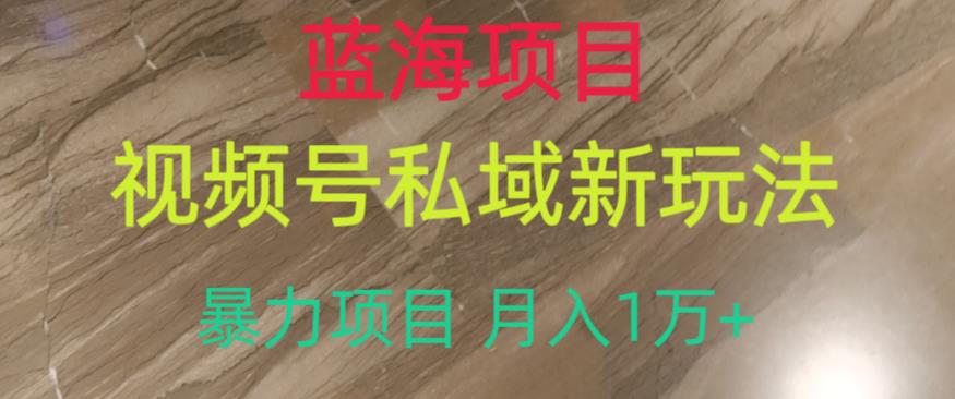 蓝海项目，视频号私域新玩法，暴力项目月入1万+【揭秘】-云帆项目库