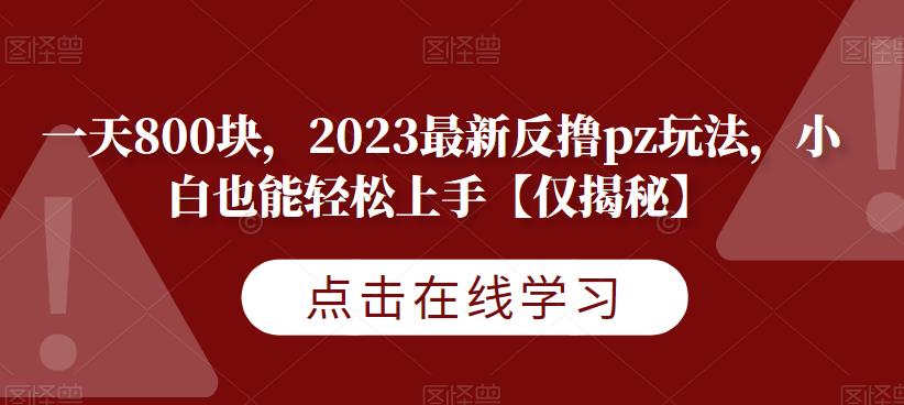 一天800块，2023最新反撸pz玩法，小白也能轻松上手【仅揭秘】-云帆项目库