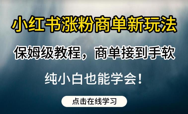 小红书涨粉商单新玩法，保姆级教程，商单接到手软，纯小白也能学会【揭秘】-云帆项目库