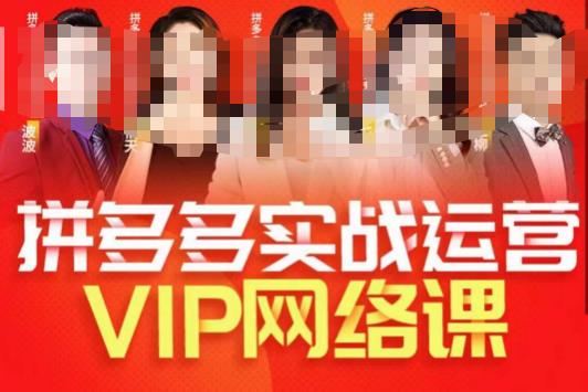 推易拼多多VIP全套直播课程，拼多多店铺实操玩法+实战玩法选款内功+直通车高阶等-云帆项目库