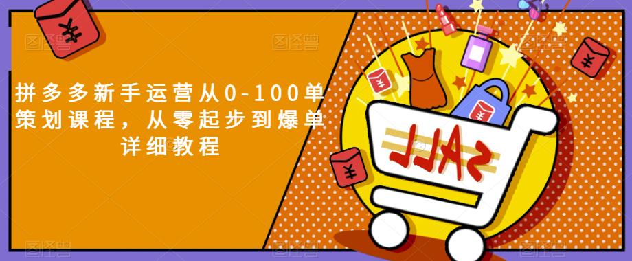 拼多多新手运营从0-100单策划课程，从零起步到爆单详细教程-云帆项目库