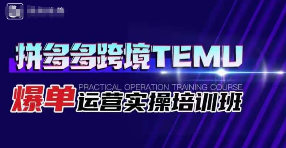 拼多多跨境TEMU爆单运营实操培训班，海外拼多多的选品、运营、爆单-云帆项目库