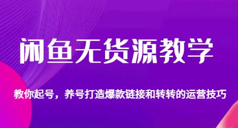 闲鱼无货源教学，教你起号，养号打造爆款链接以及转转的运营技巧-云帆项目库