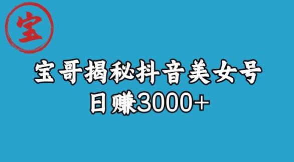 宝哥揭秘抖音美女号玩法，日赚3000+【揭秘】-云帆项目库