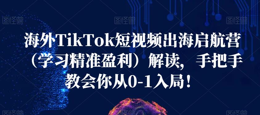 海外TikTok短视频出海启航营（学习精准盈利）解读，手把手教会你从0-1入局！-云帆项目库