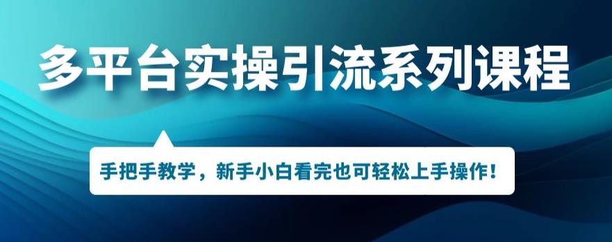 多平台引流实操系列课程，新手小白看完也可轻松上手进行引流操作-云帆项目库