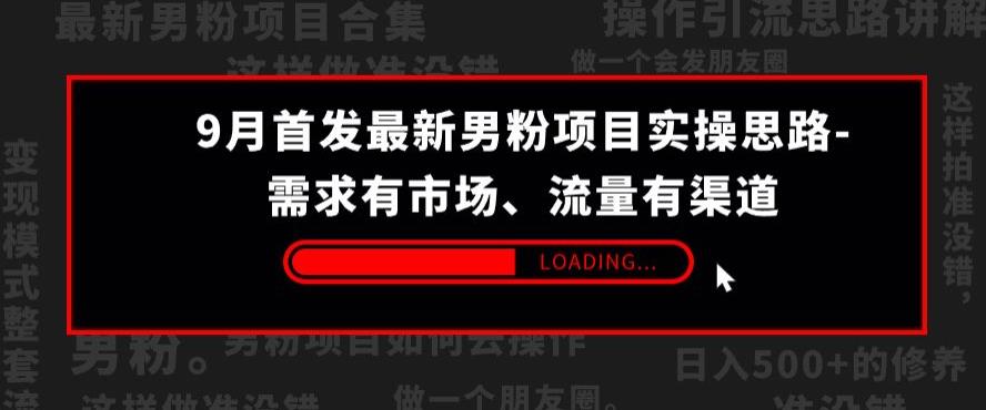 9月首发最新男粉项目实操思路-需求有市场，流量有渠道【揭秘】-云帆项目库