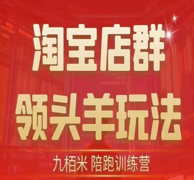 九栢米-淘宝店群领头羊玩法，教你整个淘宝店群领头羊玩法以及精细化/终极蓝海/尾销等内容-云帆项目库