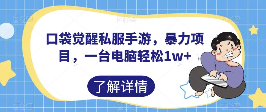 口袋觉醒私服手游，暴力项目，一台电脑轻松1w+【揭秘】-云帆项目库