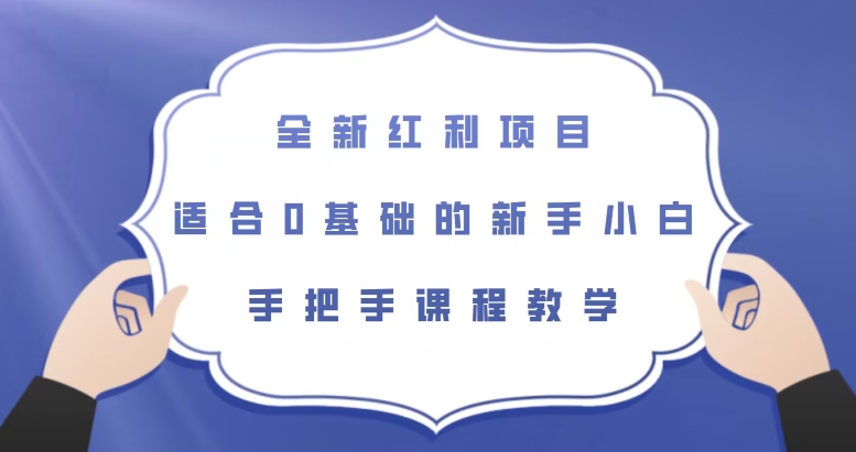 全新红利项目，适合0基础的新手小白，手把手课程教学【揭秘】-云帆项目库