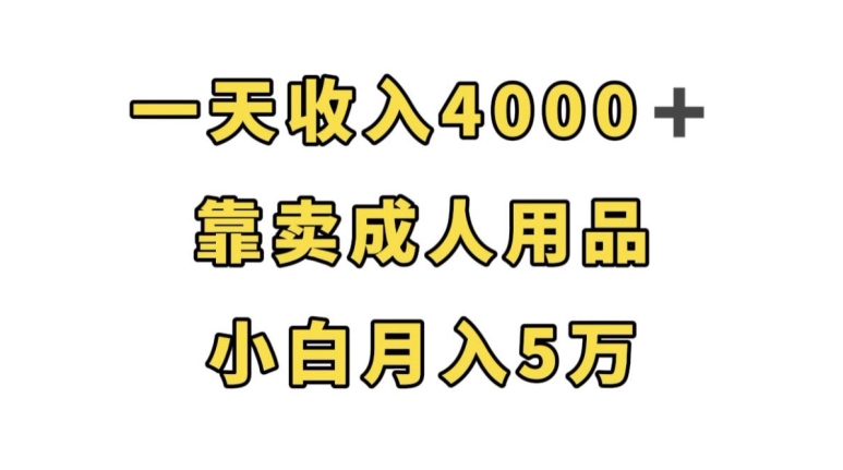 一天收入4000+，靠卖成人用品，小白轻松月入5万【揭秘】-云帆项目库