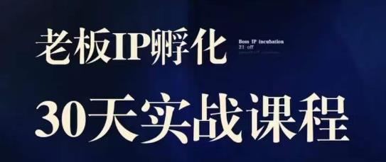 诸葛·2023老板IP实战课，实体同城引流获客，IP孵化必听-云帆项目库