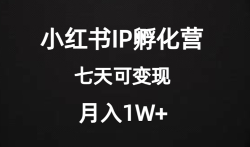 价值2000+的小红书IP孵化营项目，超级大蓝海，七天即可开始变现，稳定月入1W+-云帆项目库