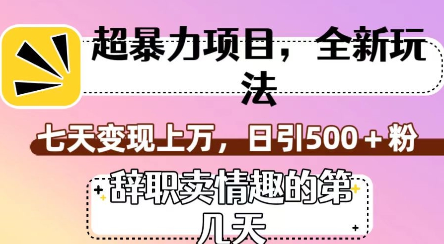 超暴利项目，全新玩法（辞职卖情趣的第几天），七天变现上万，日引500+粉【揭秘】-云帆项目库