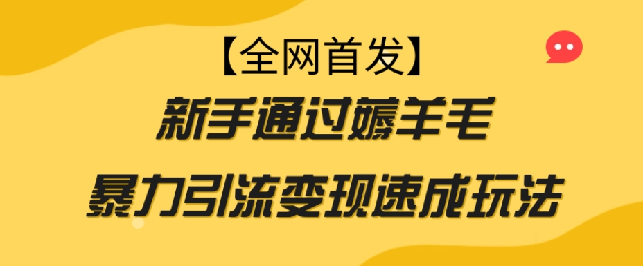 【全网首发】新手通过薅羊毛暴力引流变现速成玩法-云帆项目库