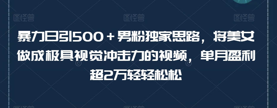 暴力日引500＋男粉独家思路，将美女做成极具视觉冲击力的视频，单月盈利超2万轻轻松松-云帆项目库