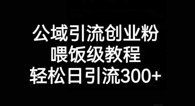 公域引流创业粉，喂饭级教程，轻松日引流300+【揭秘】-云帆项目库