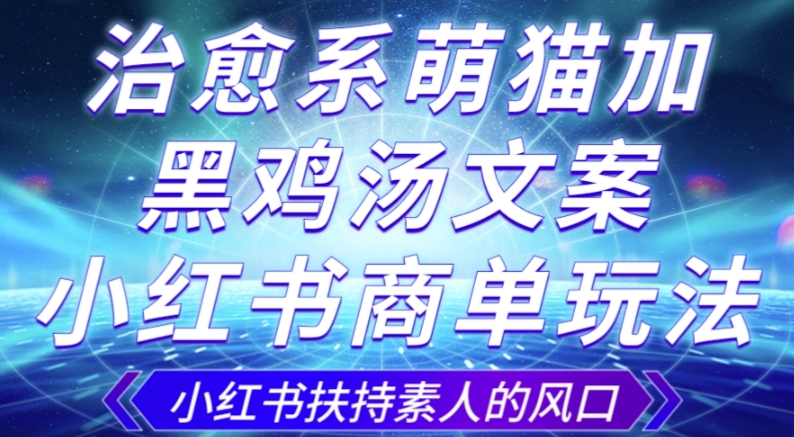 治愈系萌猫加+黑鸡汤文案，小红书商单玩法，3~10天涨到1000粉，一单200左右-云帆项目库