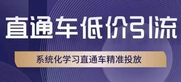 直通车低价引流课，系统化学习直通车精准投放-云帆项目库