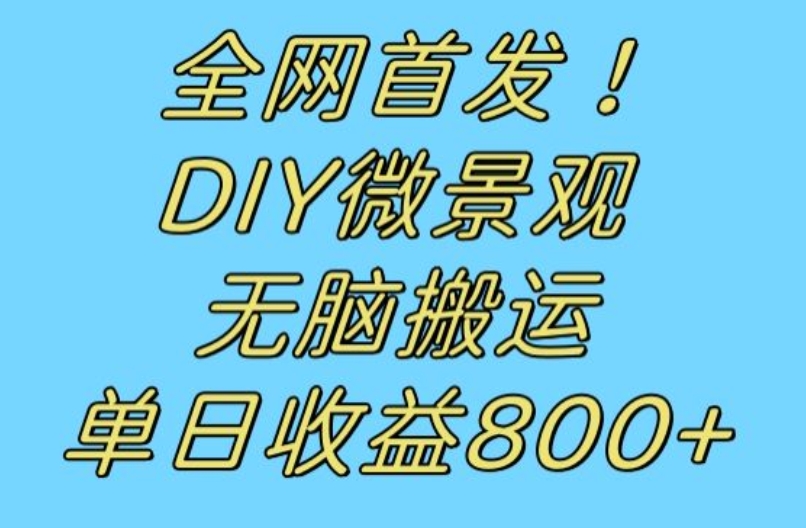 全网首发冷门赛道！DIY微景观，无脑搬运视频，日收益800+【揭秘】-云帆项目库