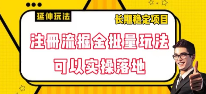 注册流掘金批量玩法，可以实操落地【揭秘】-云帆项目库