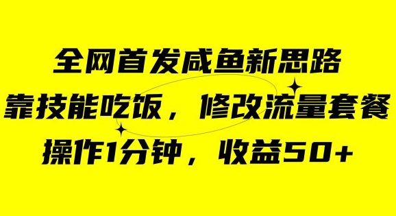 咸鱼冷门新玩法，靠“技能吃饭”，修改流量套餐，操作1分钟，收益50【揭秘】-云帆项目库