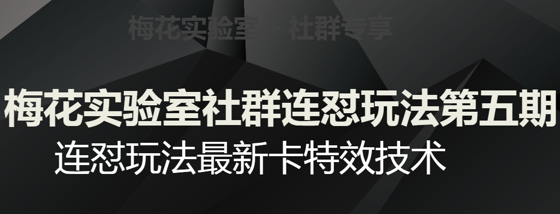 梅花实验室社群连怼玩法第五期，视频号连怼玩法最新卡特效技术-云帆项目库