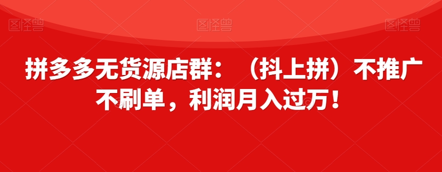 拼多多无货源店群：（抖上拼）不推广不刷单，利润月入过万！【揭秘】-云帆项目库