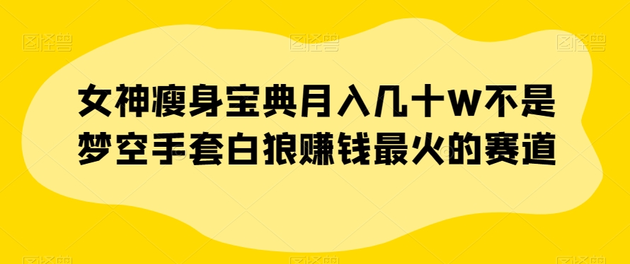 女神瘦身宝典月入几十W不是梦空手套白狼赚钱最火的赛道【揭秘】-云帆项目库