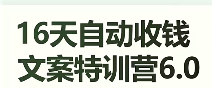 16天自动收钱文案特训营6.0，学会儿每天自动咔咔收钱-云帆项目库