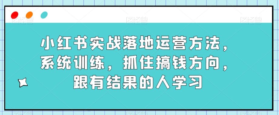 小红书实战落地运营方法，系统训练，抓住搞钱方向，跟有结果的人学习-云帆项目库