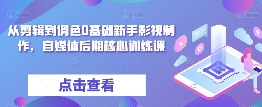 从剪辑到调色0基础新手影视制作，自媒体后期核心训练课-云帆项目库