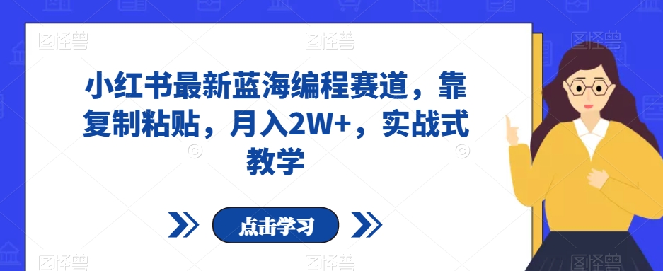 小红书最新蓝海编程赛道，靠复制粘贴，月入2W+，实战式教学【揭秘】-云帆项目库