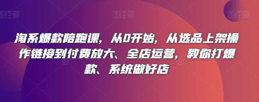 淘系爆款陪跑课，从0开始，从选品上架操作链接到付费放大、全店运营，教你打爆款、系统做好店-云帆项目库