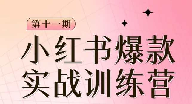 小红书博主爆款训练营第11期，手把手教你从0-1做小红书，从定位到起号到变现-云帆项目库