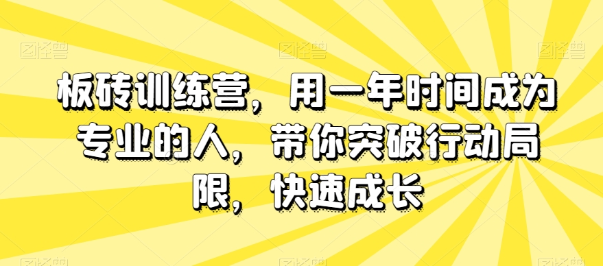 板砖训练营，用一年时间成为专业的人，带你突破行动局限，快速成长-云帆项目库