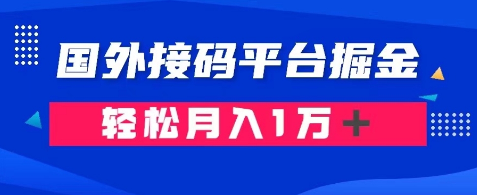 通过国外接码平台掘金：成本1.3，利润10＋，轻松月入1万＋【揭秘】-云帆项目库