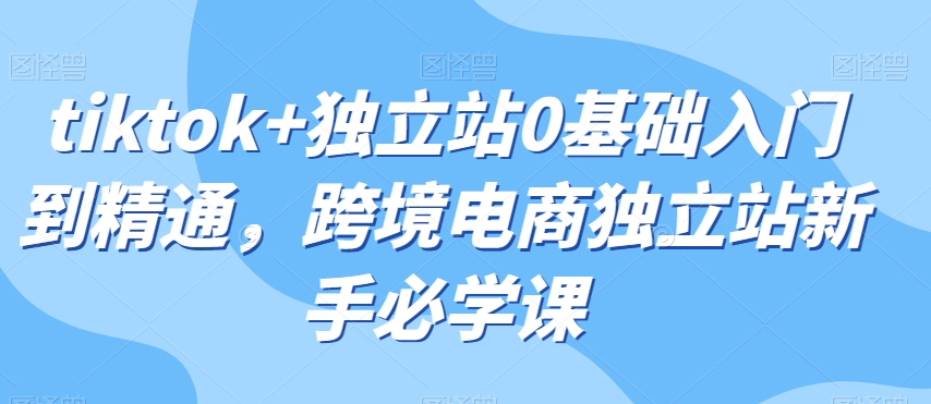 tiktok+独立站0基础入门到精通，跨境电商独立站新手必学课-云帆项目库