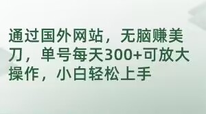 通过国外网站，无脑赚美刀，单号每天300+可放大操作，小白轻松上手【揭秘】-云帆项目库