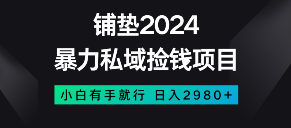 暴力私域捡钱项目，小白无脑操作，日入2980【揭秘】-云帆项目库