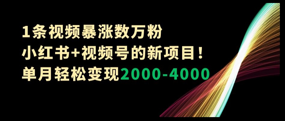 1条视频暴涨数万粉–小红书+视频号的新项目！单月轻松变现2000-4000【揭秘】-云帆项目库