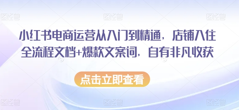 小红书电商运营从入门到精通，店铺入住全流程文档+爆款文案词，自有非凡收获-云帆项目库